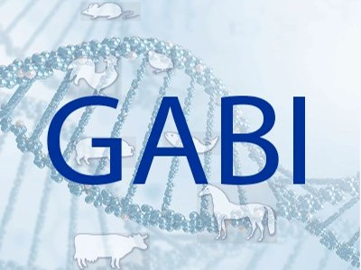 GABI