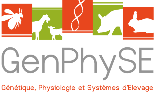 GenPhySE